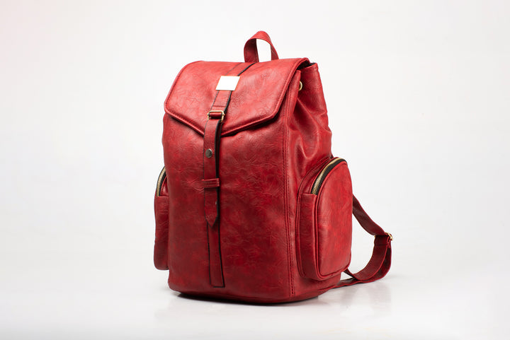 Denri Atlas Business Laptop Backpack - Women's or Men's Backpack for Work with Adjustable Compartment - Travel Friendly Office Back Pack Laptop Bag, Business Computer Back Pack