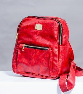 Denri Cairo Backpack for Women, Fit's up to a 12-inch Laptop, stylish bag for school, work and errands