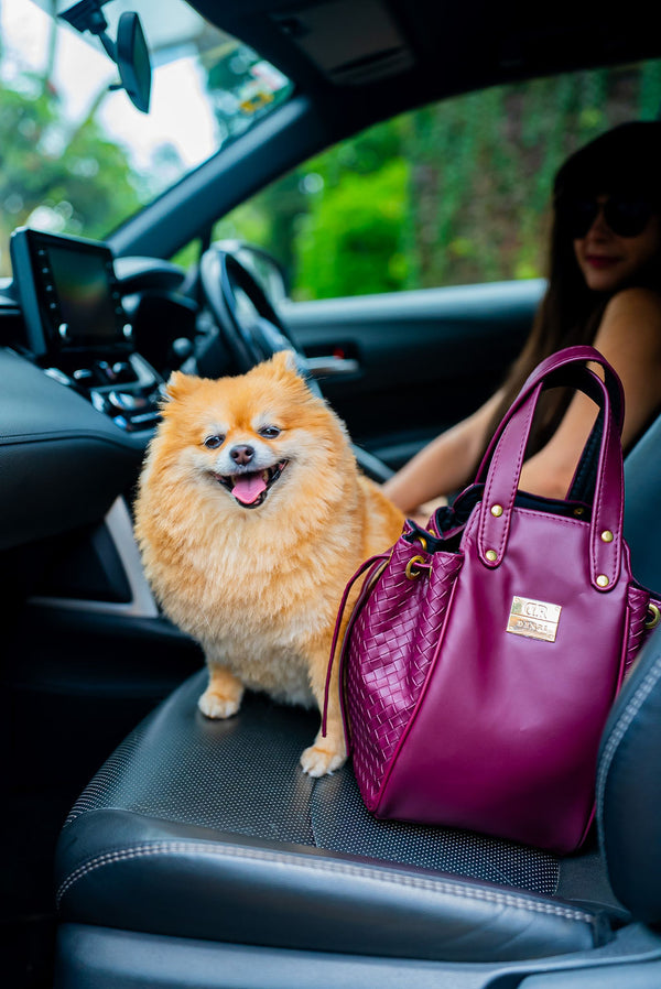 Denri Skye Handbag | Vegan Leather, Hidden Press-Button Closure | Chic & Featherlight