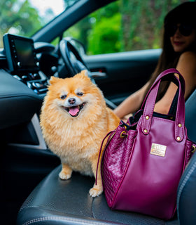 Denri Skye Handbag | Vegan Leather, Hidden Press-Button Closure | Chic & Featherlight