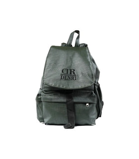 Denri Laptop Backpack for School, Work, Travel, fits up to 14-Inch Laptop