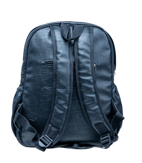 Denri Africa's Prime Men's Black Laptop Backpack with padded straps