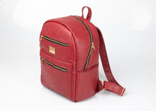Load image into Gallery viewer, Jabari backpack